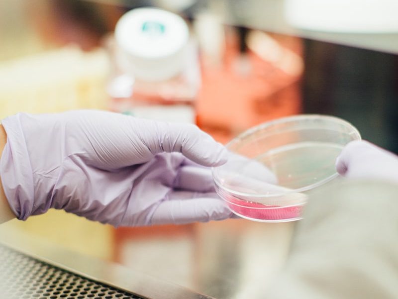 Biotech-3.jpg